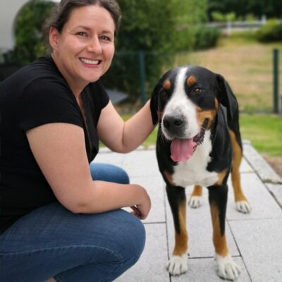 Zellgesundheit beim Hund