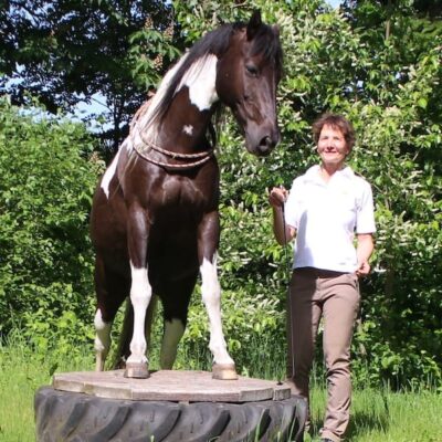 Fitness mit Pferd - Erlerne 3 präventive Übungen für den Alltag