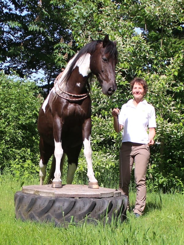 Fitness mit Pferd - Erlerne 3 präventive Übungen für den Alltag